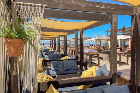 loungebedden terras beachlub strand scheveningen